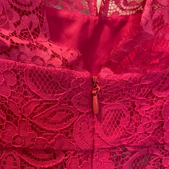 BCBG Maxazria devon begonia lace cocktail dress Sz4 - Picture 5 of 9